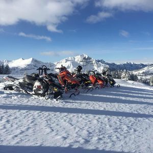 Meet your Posher, Brett